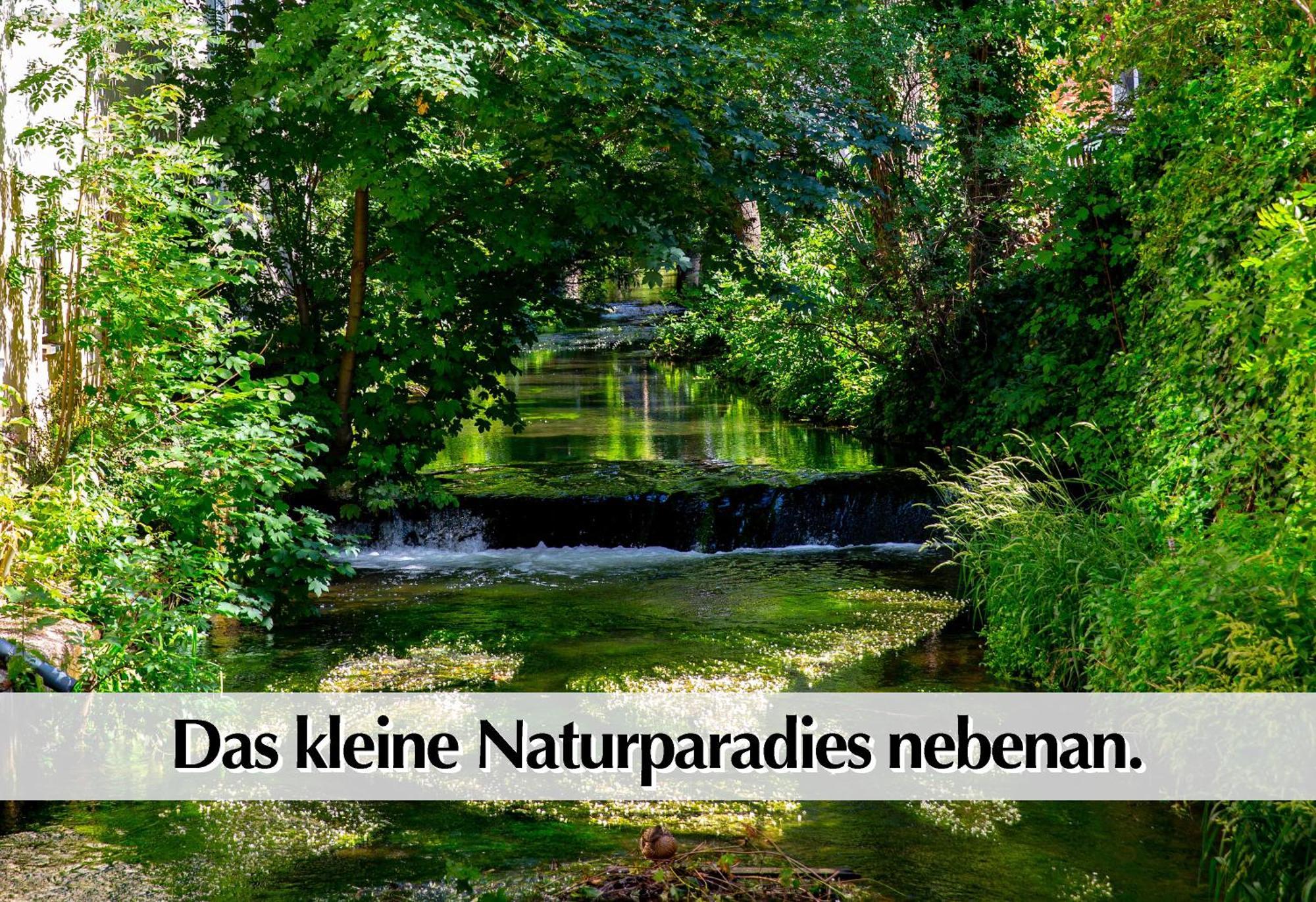 Stadtperle Am Plaetschernden Wasser - 50M2 2R Malerische Fewo In Top Lage Ерфурт Екстериор снимка